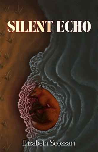 Silent Echo Book Cover